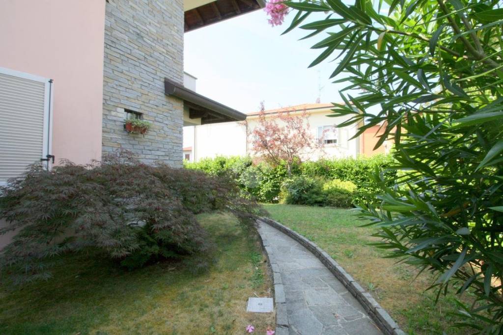 immagine annuncio 5 di 12