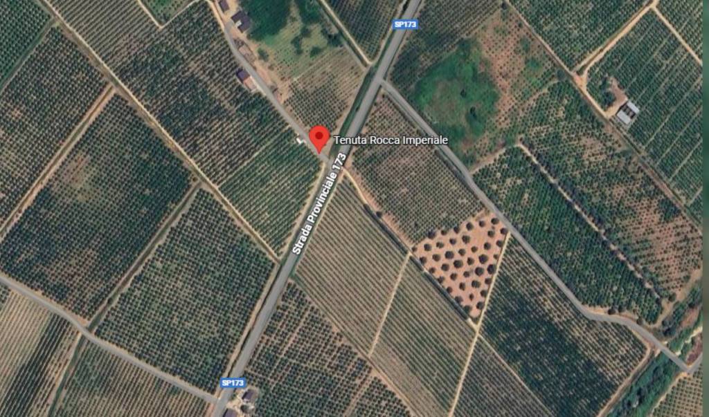 immagine annuncio 7 di 11