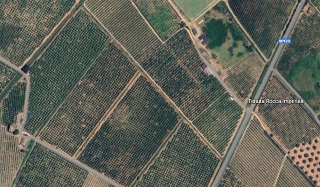 immagine annuncio 9 di 11