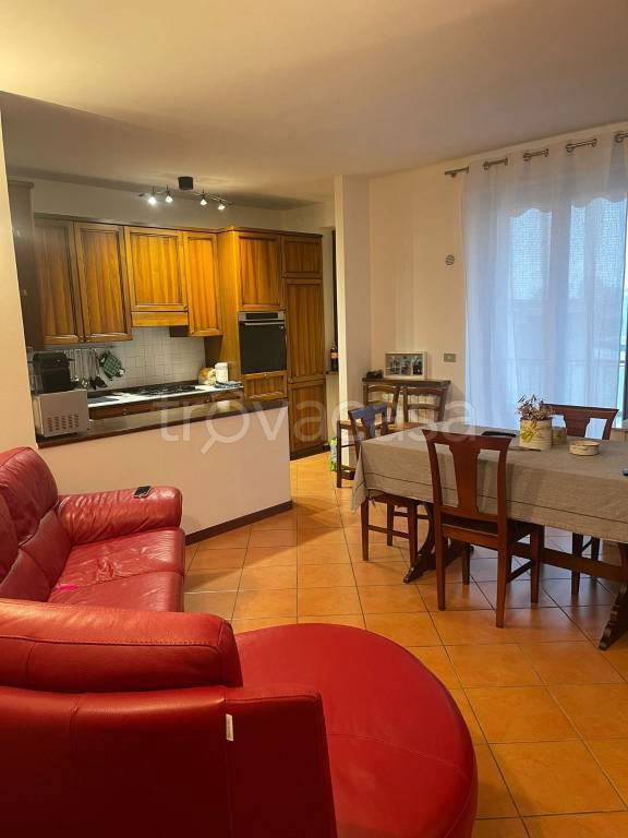 immagine annuncio 2 di 6