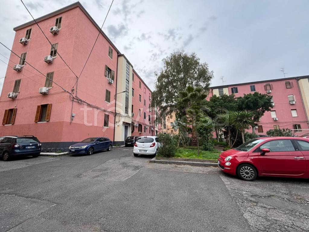 immagine annuncio 13 di 14