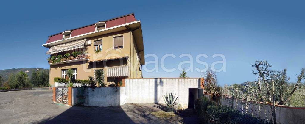 immagine annuncio 2 di 7