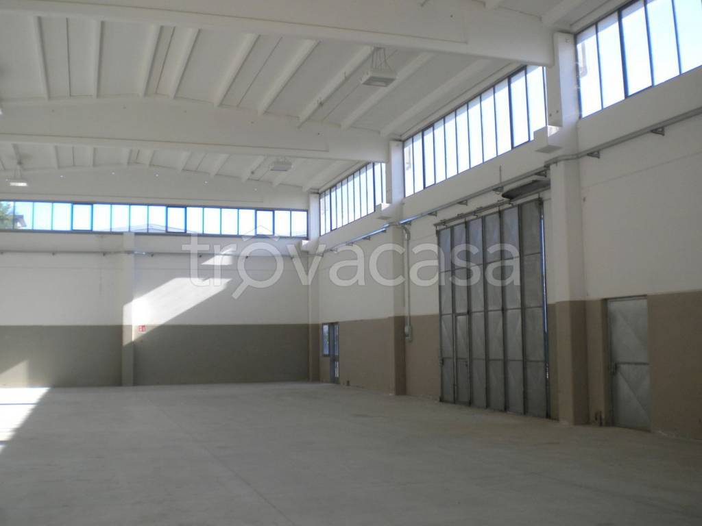 immagine annuncio 1 di 2