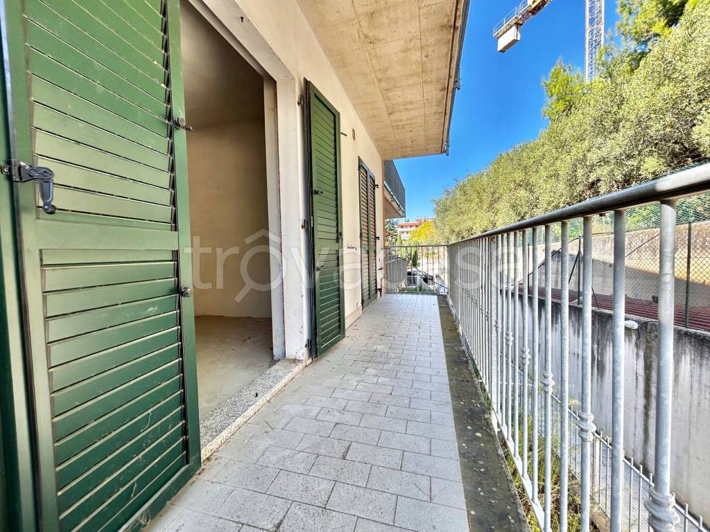 immagine annuncio 1 di 6