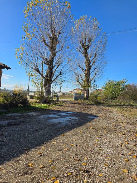 immagine annuncio 8 di 14