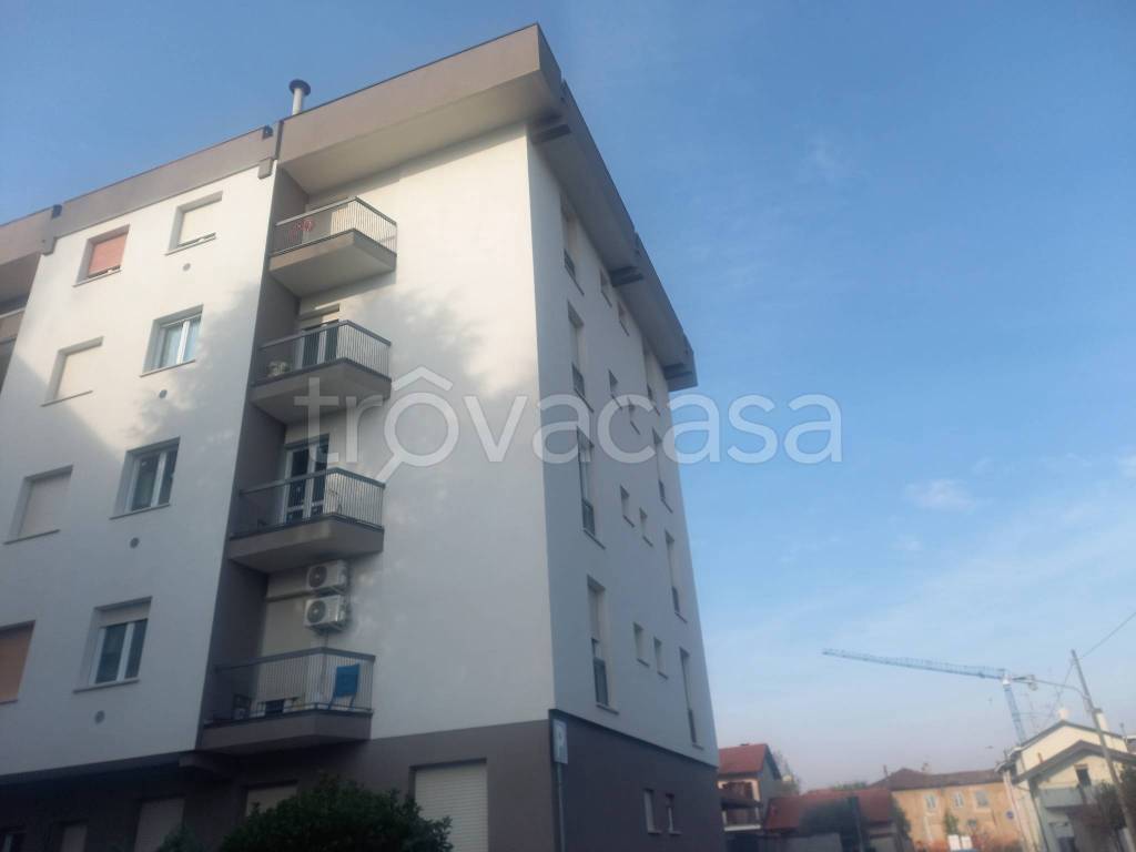 immagine annuncio 3 di 15