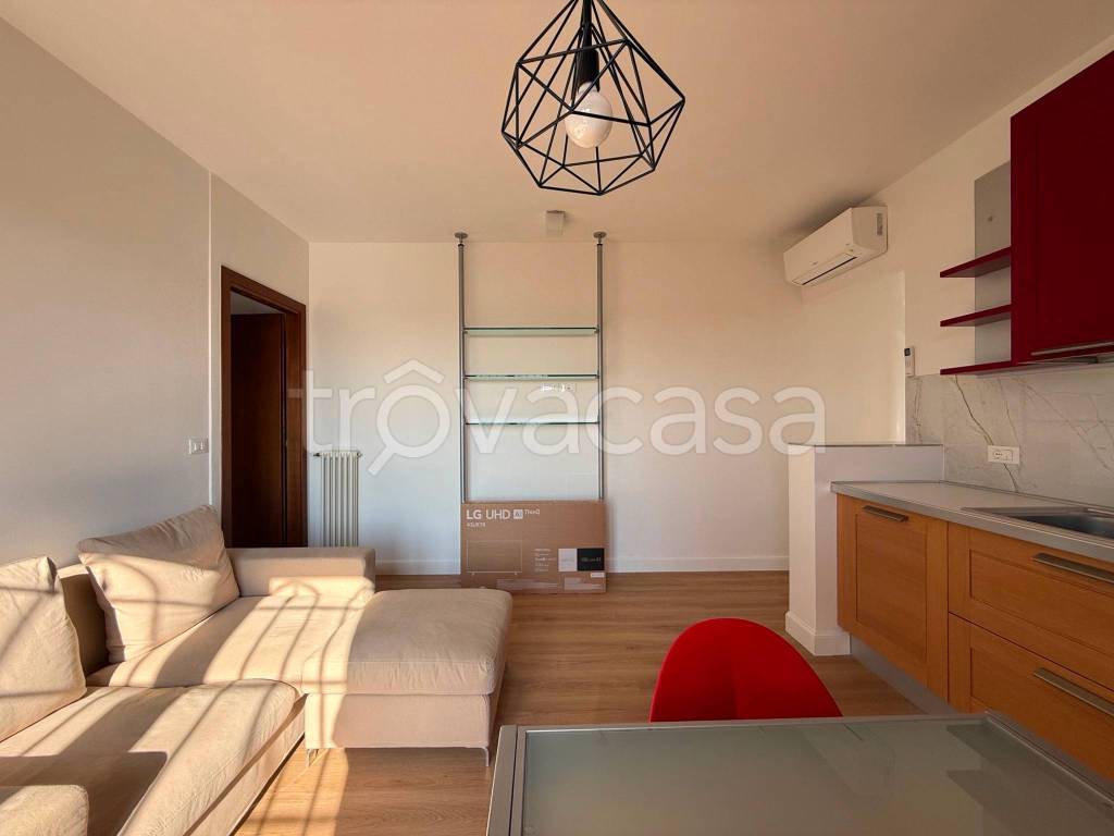 immagine annuncio 1 di 13