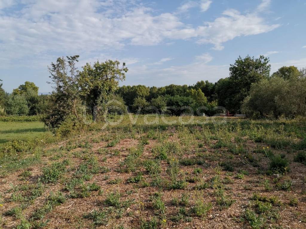 immagine annuncio 1 di 8