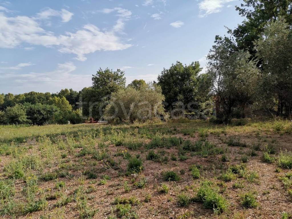 immagine annuncio 2 di 8