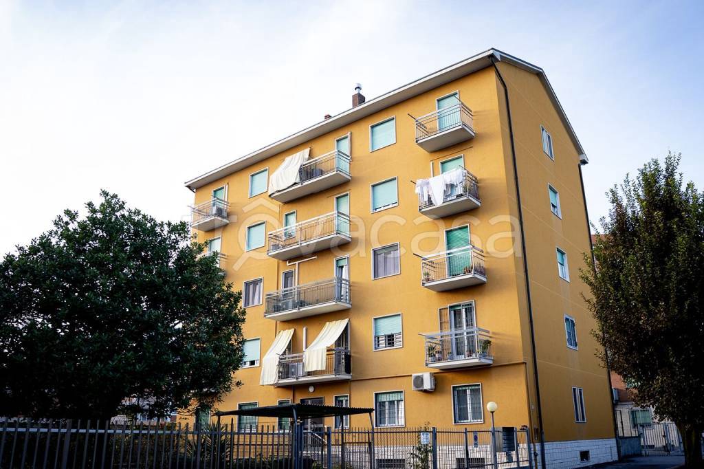 immagine annuncio 1 di 15