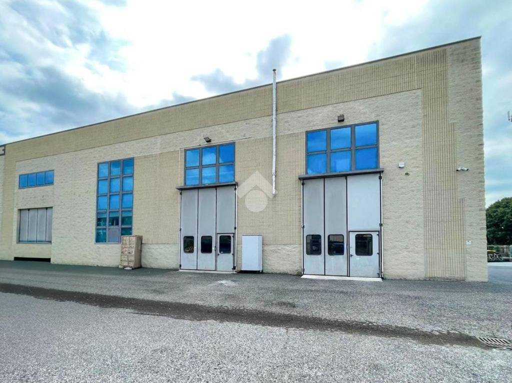 immagine annuncio 11 di 15