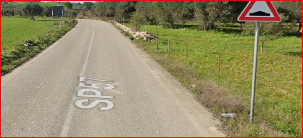 immagine annuncio 3 di 11