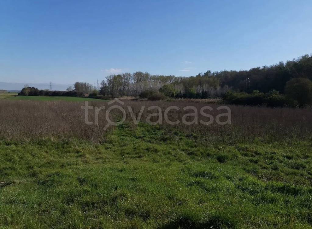 immagine annuncio 4 di 8