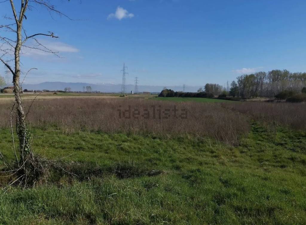 immagine annuncio 5 di 8