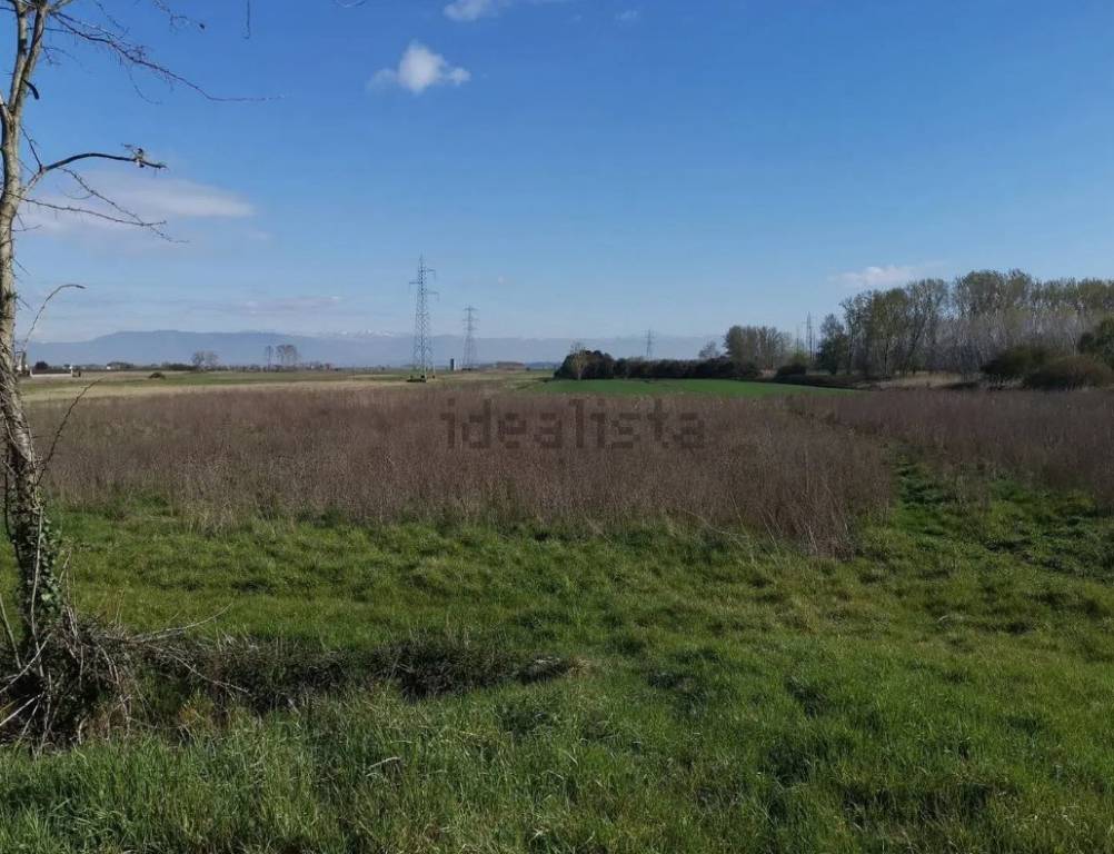 immagine annuncio 7 di 8