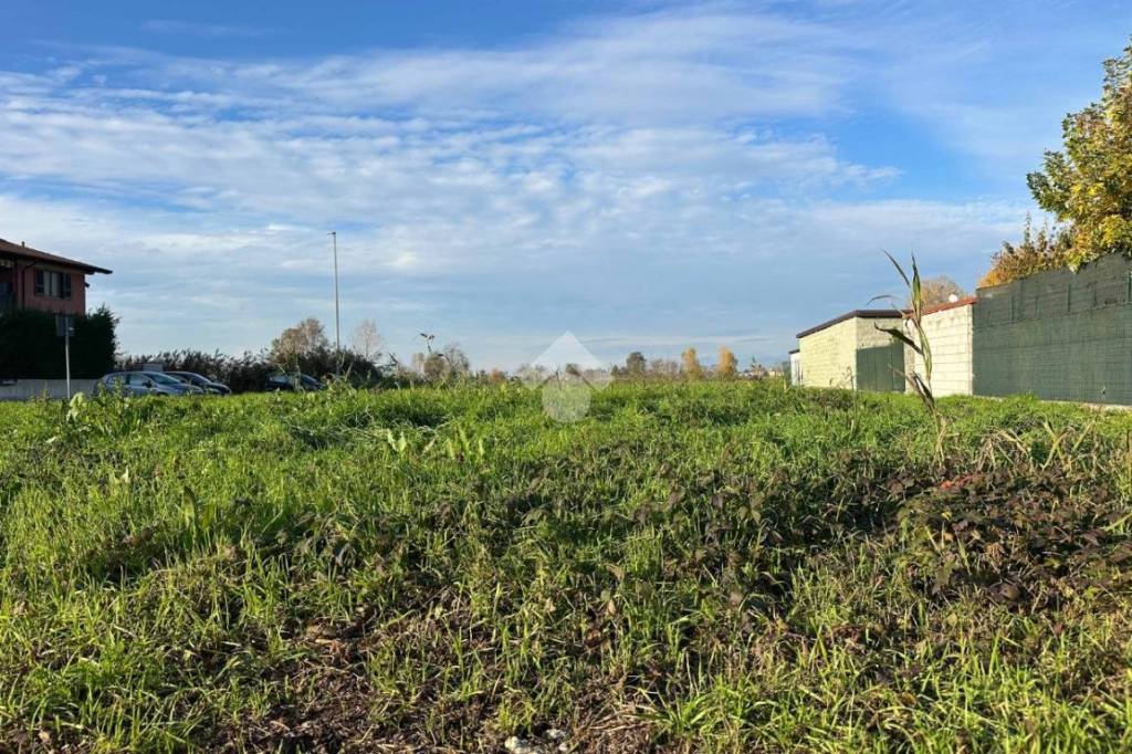 immagine annuncio 2 di 11