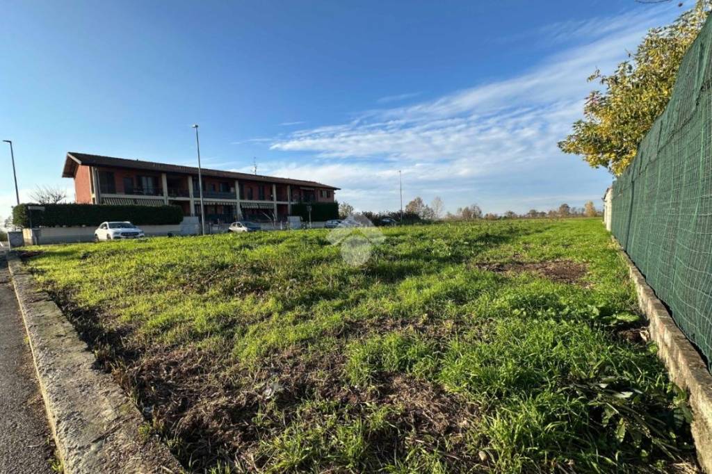 immagine annuncio 3 di 11