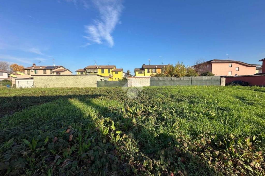 immagine annuncio 4 di 11