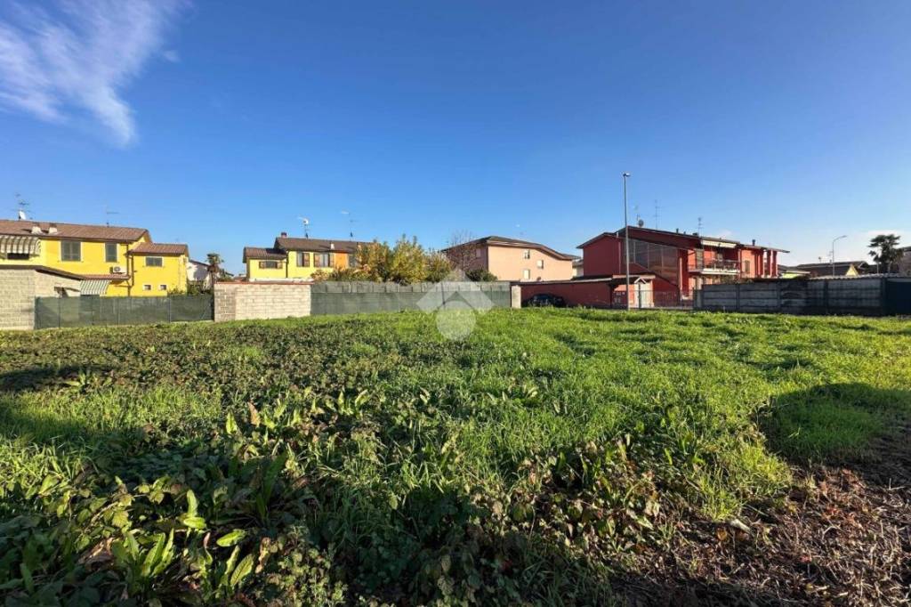 immagine annuncio 6 di 11