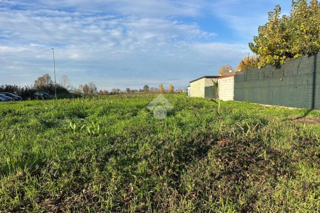 immagine annuncio 10 di 11