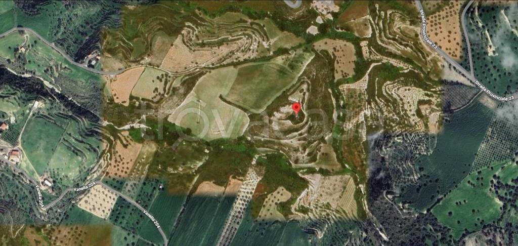 immagine annuncio 12 di 13