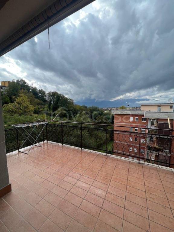 immagine annuncio 11 di 14