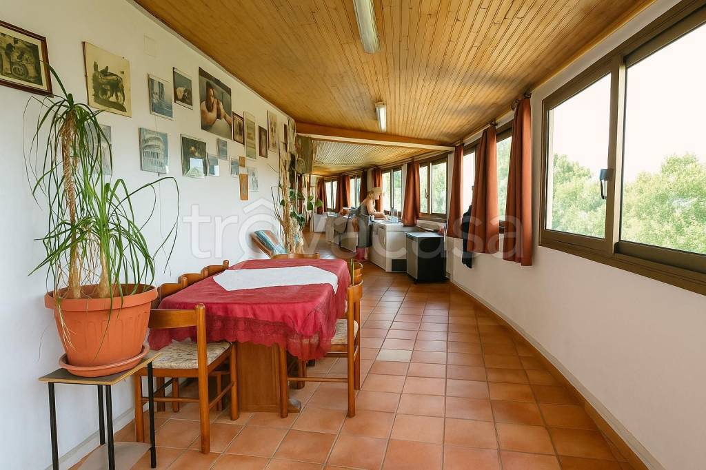 immagine annuncio 3 di 14