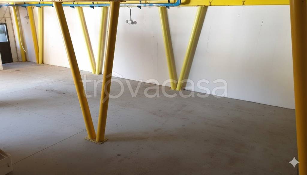 immagine annuncio 2 di 8