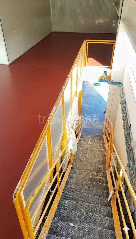 immagine annuncio 3 di 8