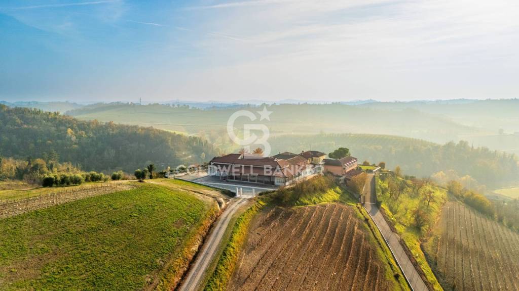 immagine annuncio 9 di 13