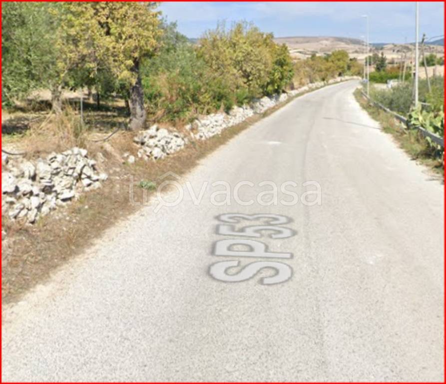 immagine annuncio 11 di 14