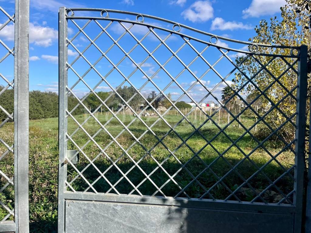 immagine annuncio 10 di 11