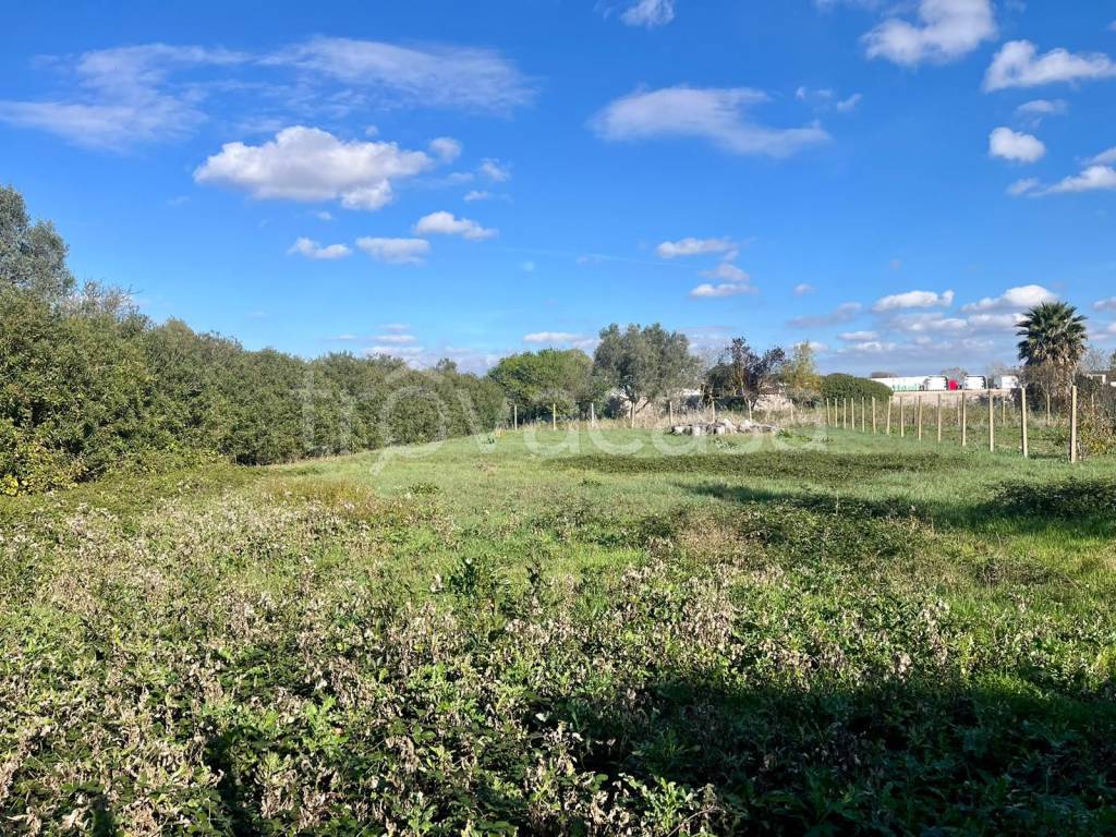 immagine annuncio 3 di 11