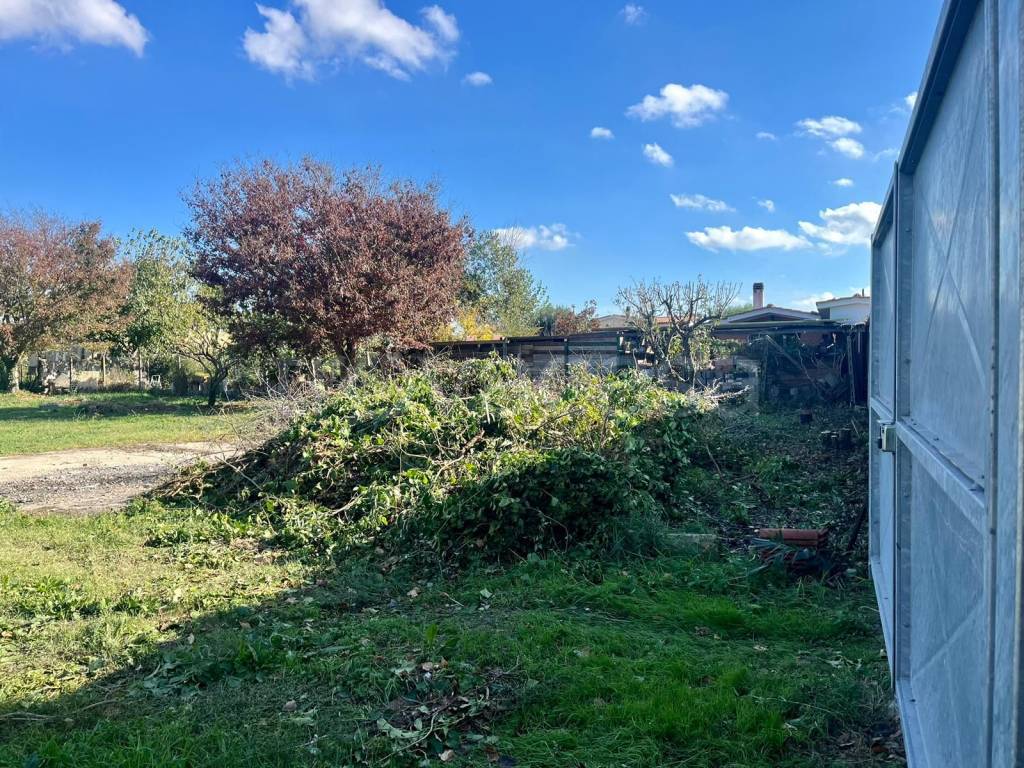 immagine annuncio 9 di 11