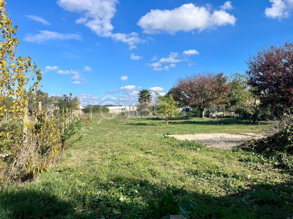 immagine annuncio 7 di 11