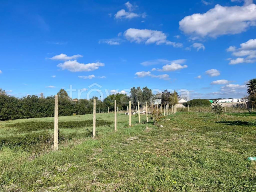 immagine annuncio 5 di 11