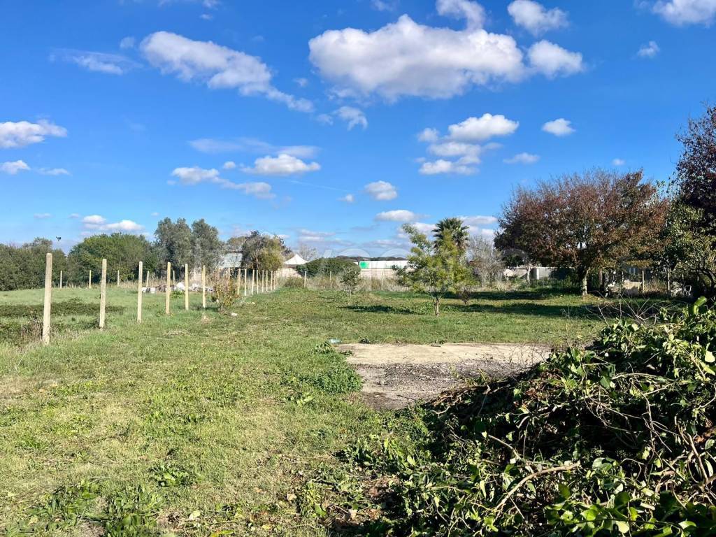 immagine annuncio 6 di 11