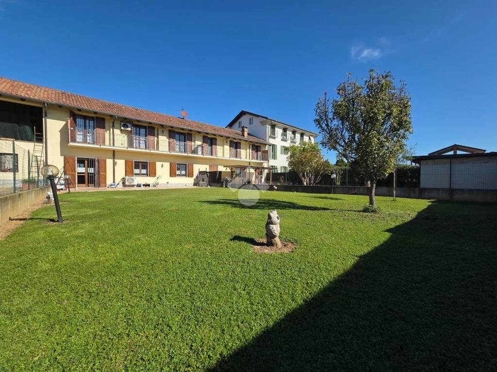 immagine annuncio 4 di 15