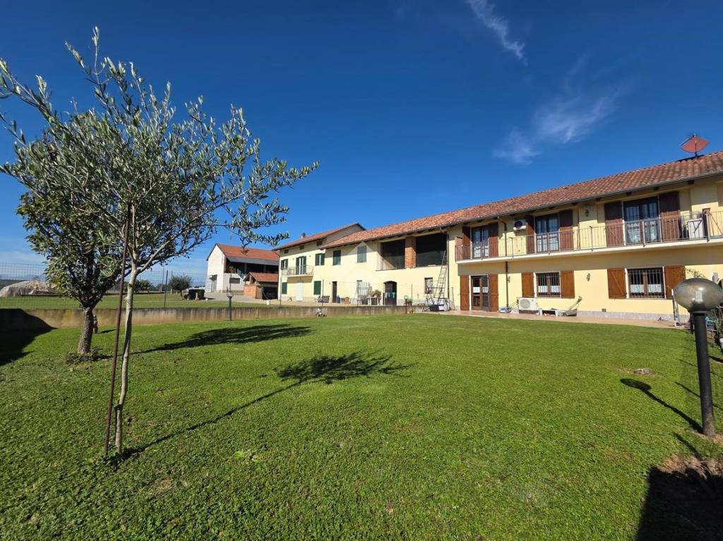 immagine annuncio 5 di 15