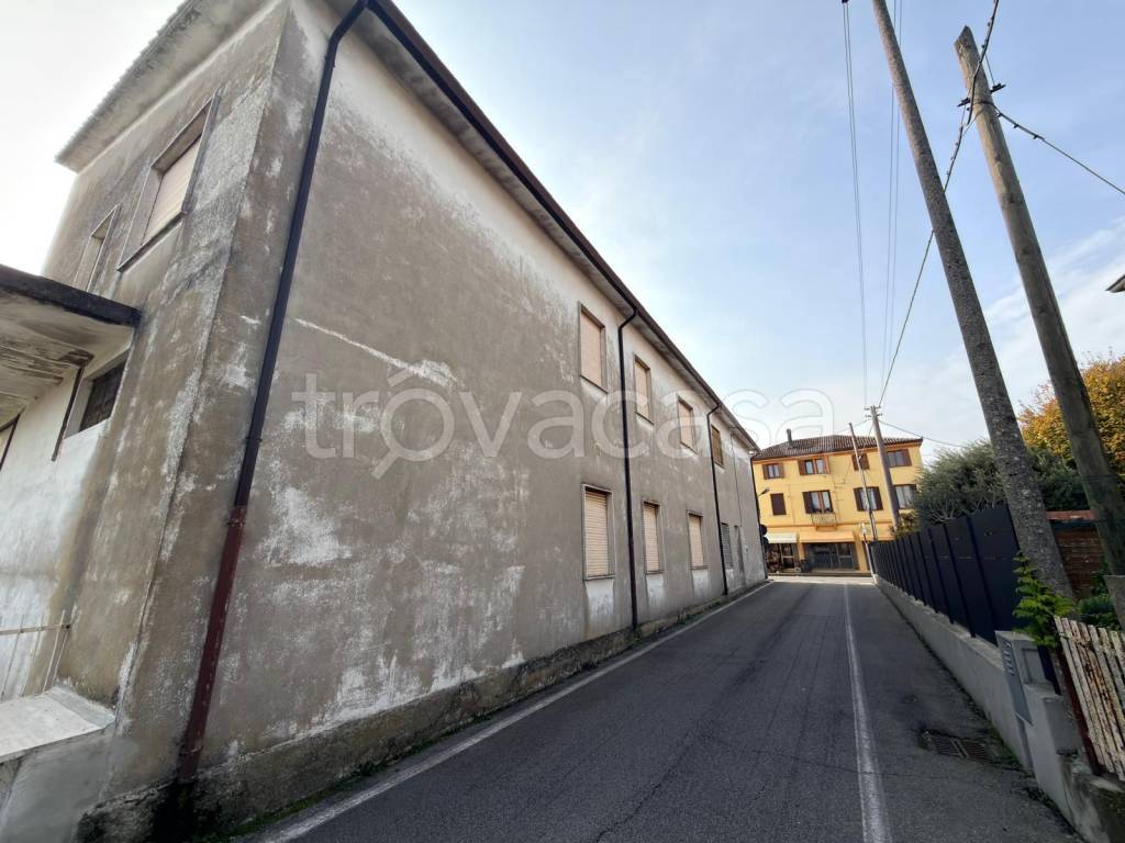 immagine annuncio 4 di 8