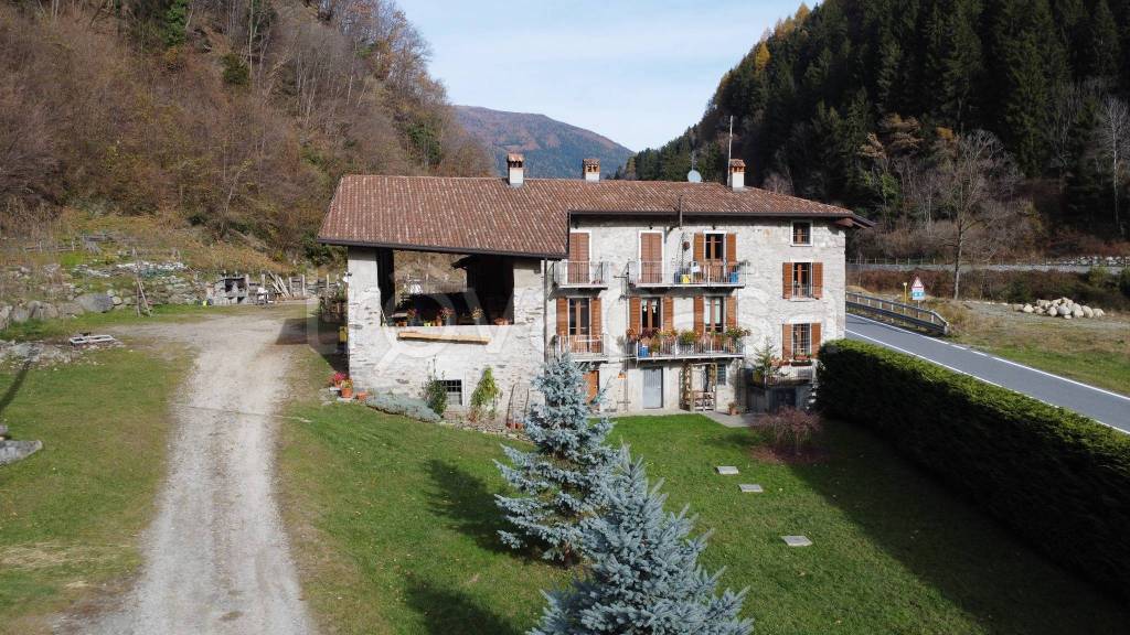 immagine annuncio 1 di 14