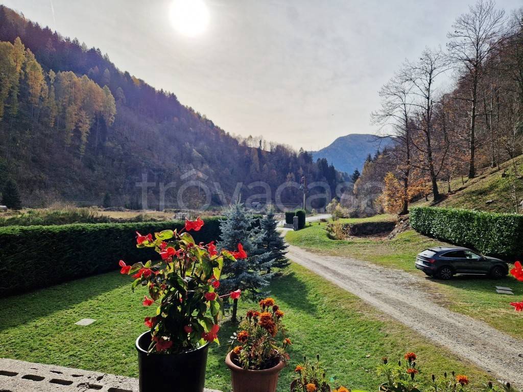 immagine annuncio 13 di 14