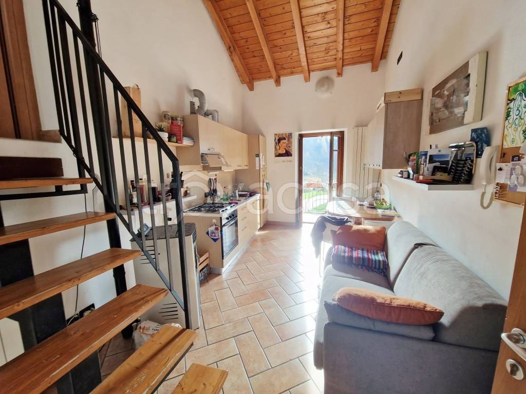 immagine annuncio 9 di 14