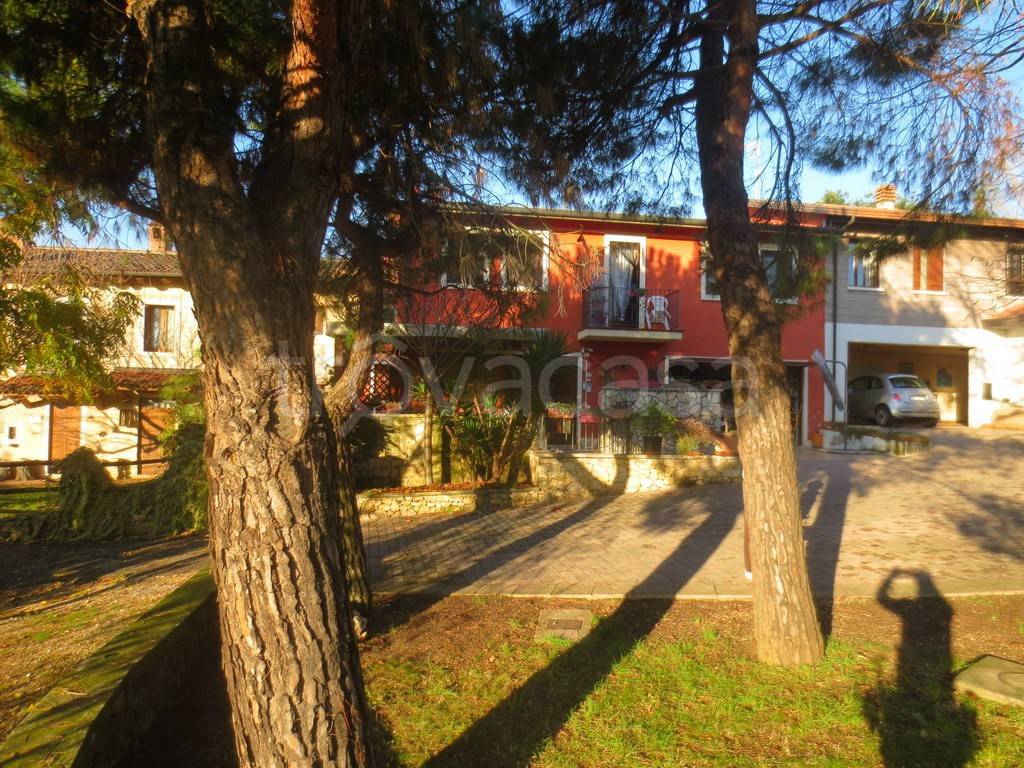 immagine annuncio 7 di 15