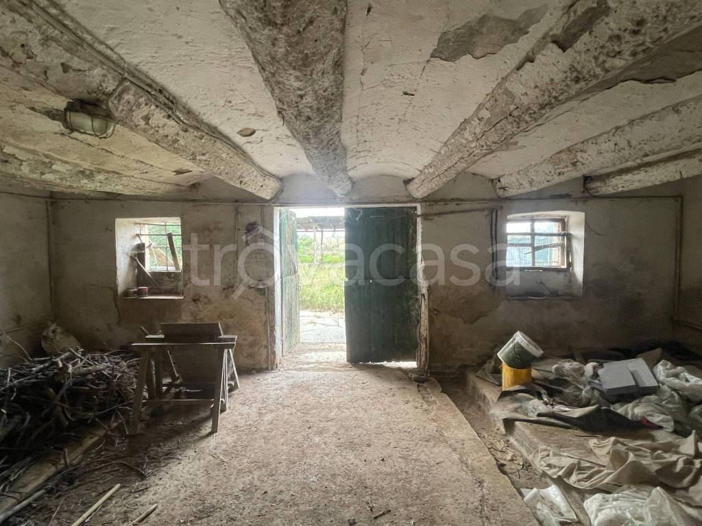 immagine annuncio 4 di 7