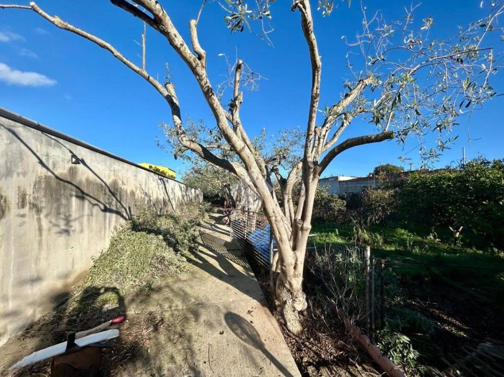 immagine annuncio 4 di 11