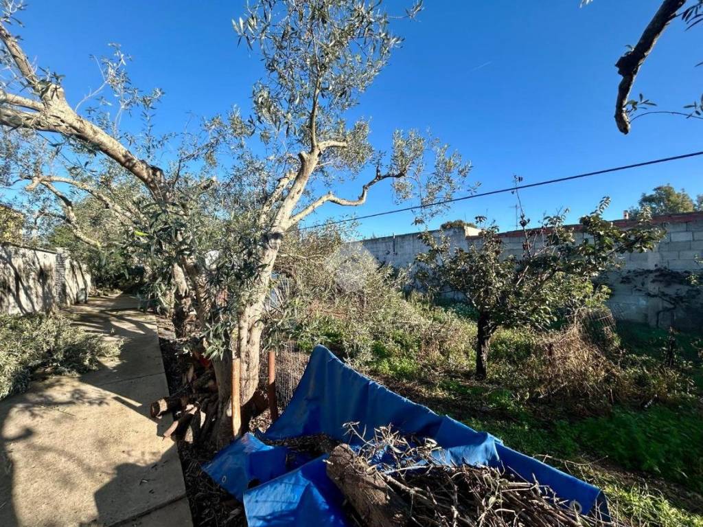 immagine annuncio 6 di 11