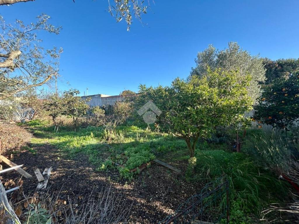 immagine annuncio 7 di 11