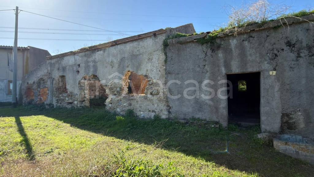 immagine annuncio 3 di 9