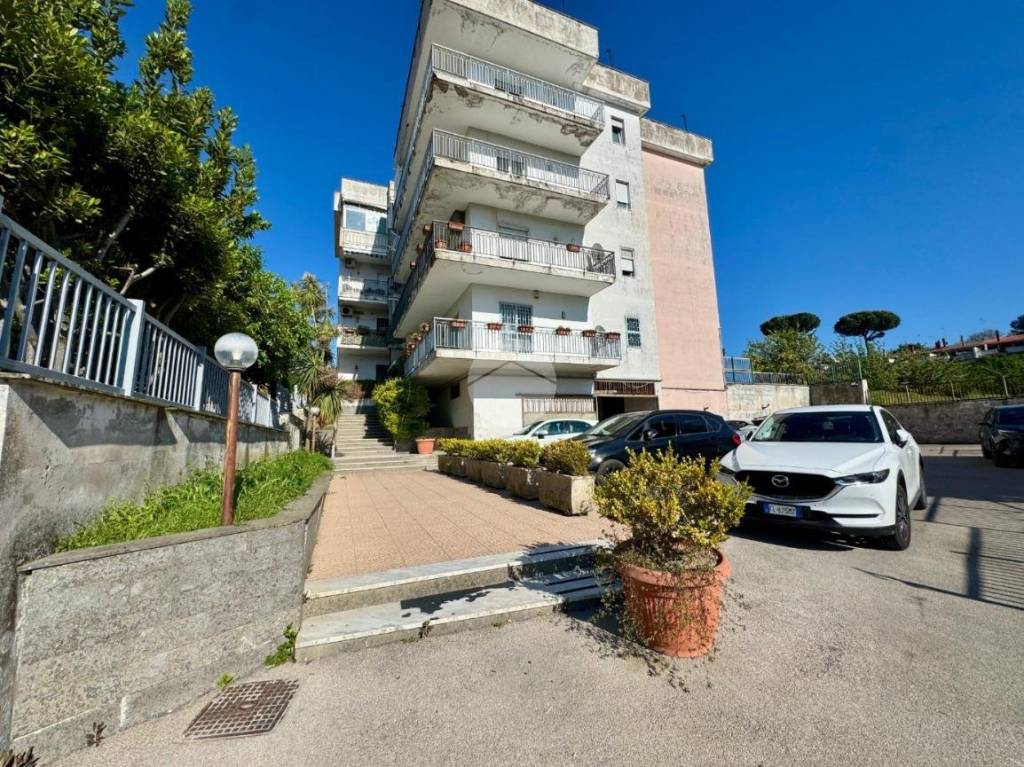 immagine annuncio 4 di 11